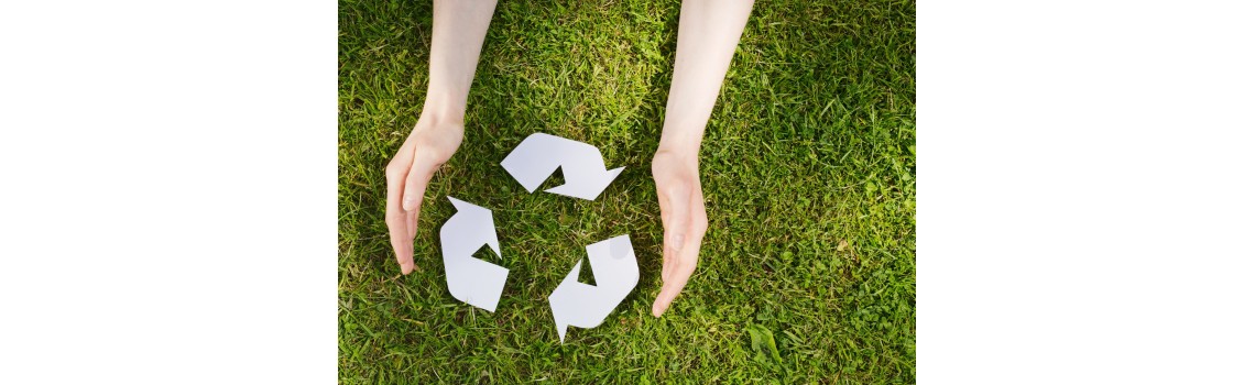 Eco-Attitude
